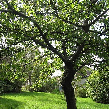 Maison Avec Grand Jardin Pour 15 Couchages En Normandie Cairon Номер фото